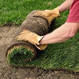 Sod Installation